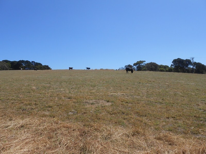 Walkerville VIC 3956