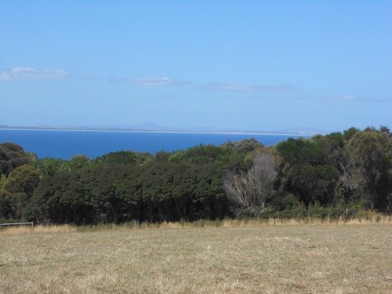 Walkerville VIC 3956