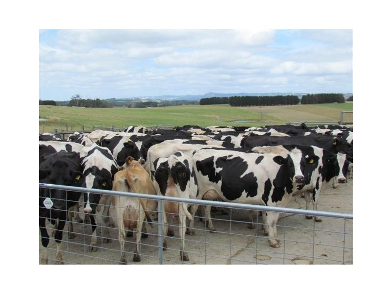 555 Drouin – Korumburra Road, Drouin South VIC 3818