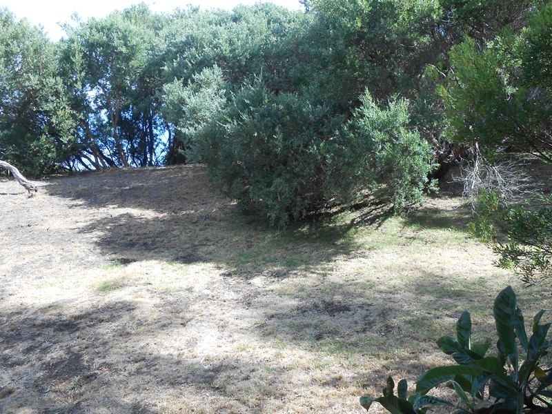 5 Waratah Ave, Sandy Point VIC 3959