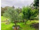 3 Hall Rd, Foster VIC 3960