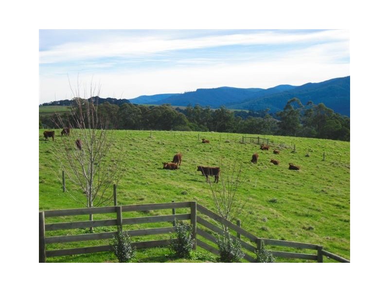 50 Harvie Road, Neerim Junction VIC 3832