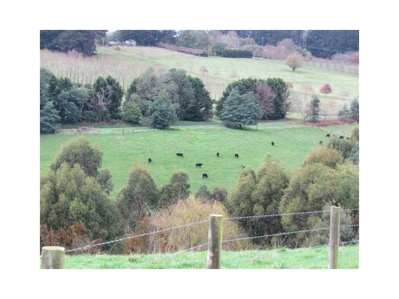 50 Harvie Road, Neerim Junction VIC 3832