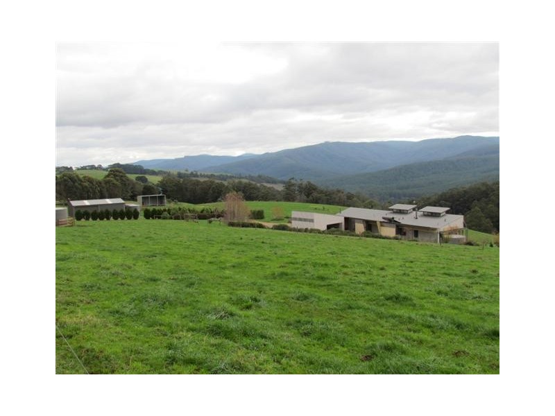 50 Harvie Road, Neerim Junction VIC 3832