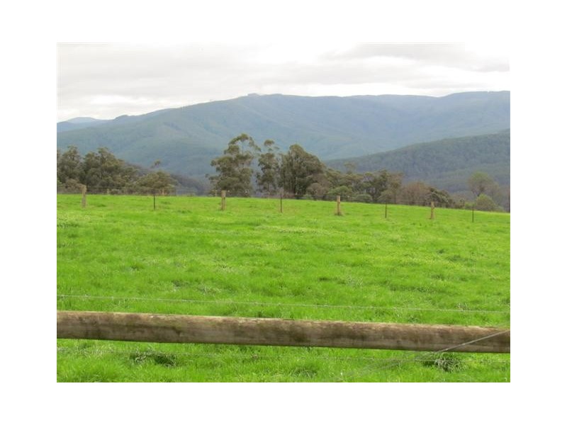 50 Harvie Road, Neerim Junction VIC 3832