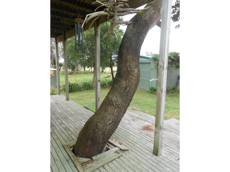 Sandy Point VIC 3959