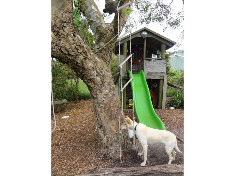 Walkerville VIC 3956