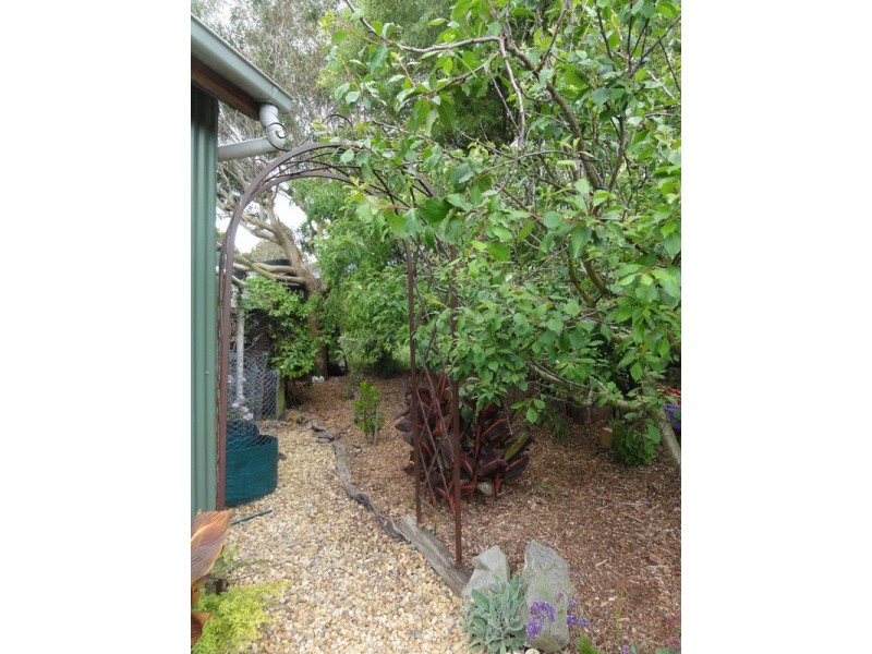 Walkerville VIC 3956