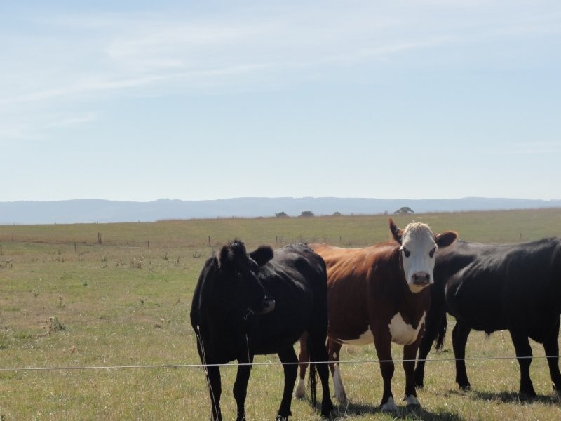 1086 Old Sale Road, Tarraville VIC 3971