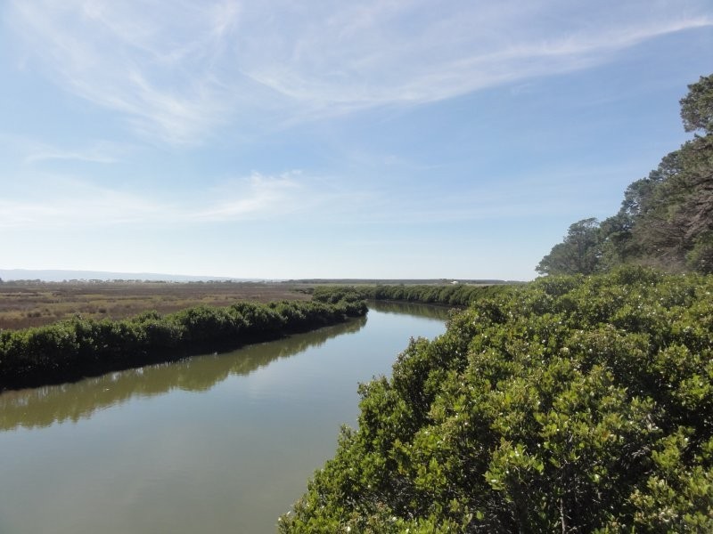 1086 Old Sale Road, Tarraville VIC 3971