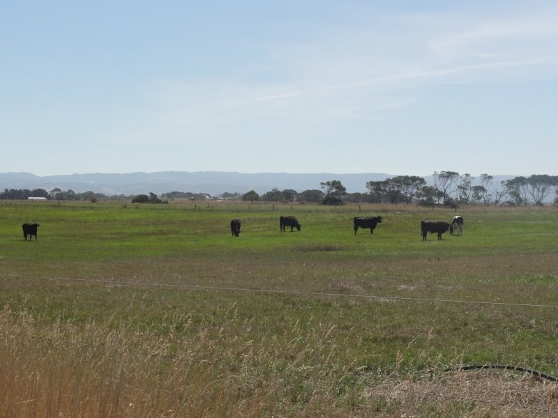 1086 Old Sale Road, Tarraville VIC 3971