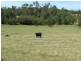 535 Old Telegraph Road, Jindivick VIC 3818