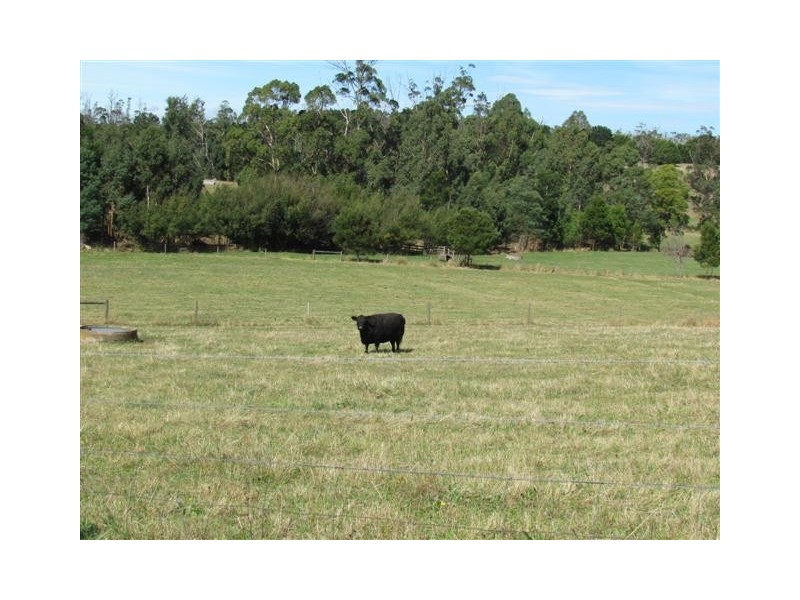 535 Old Telegraph Road, Jindivick VIC 3818