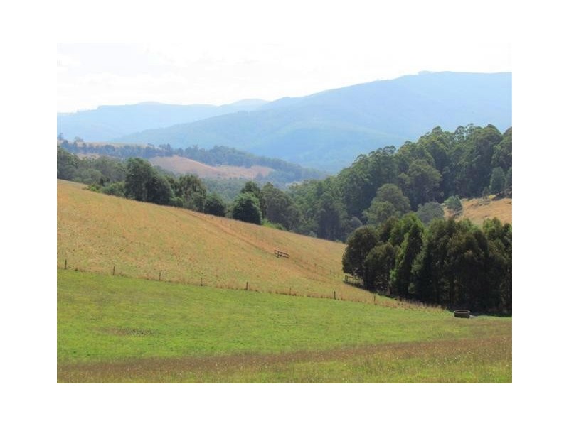 50 Harvie Road, Neerim Junction VIC 3832