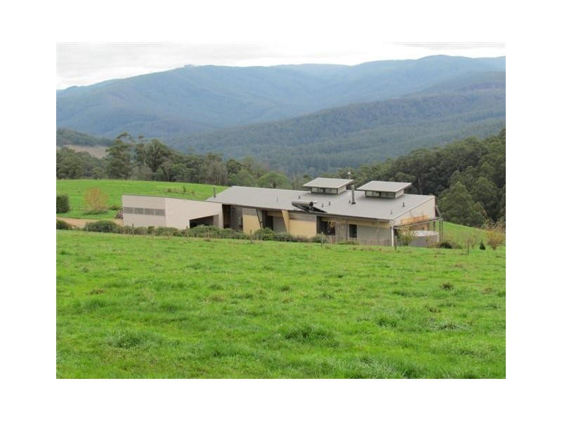 50 Harvie Road, Neerim Junction VIC 3832