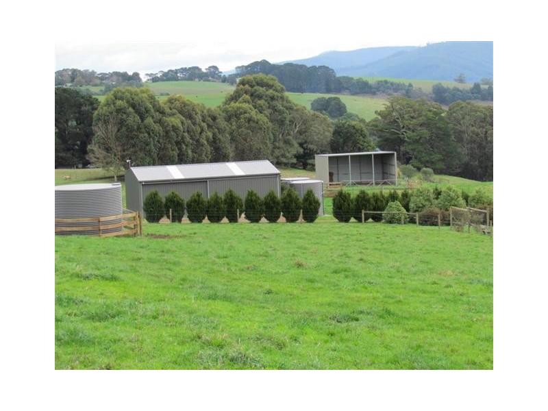 50 Harvie Road, Neerim Junction VIC 3832