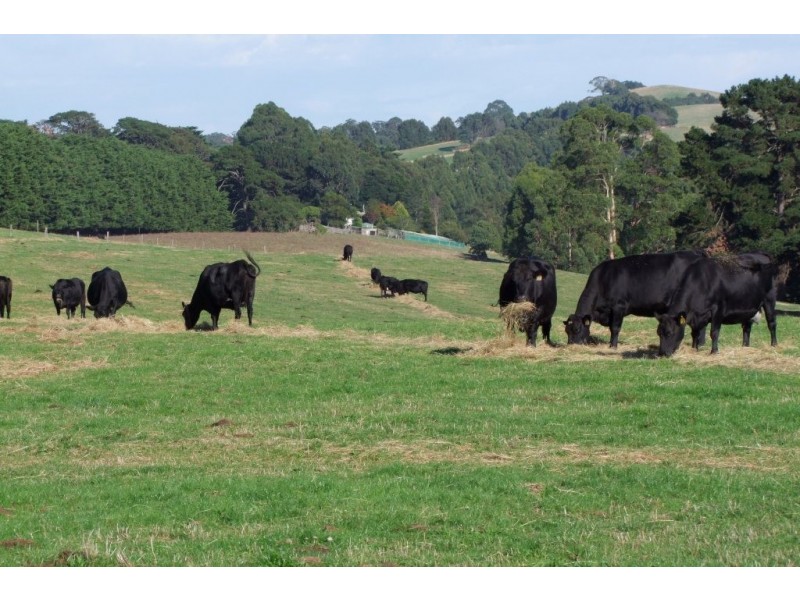 10 O’BRYANS RD, Hallston VIC 3953