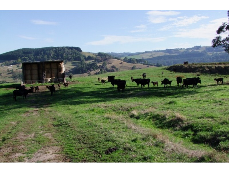 10 O’BRYANS RD, Hallston VIC 3953