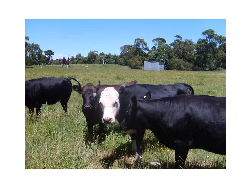 10B Franklin Street, Port Franklin VIC 3964