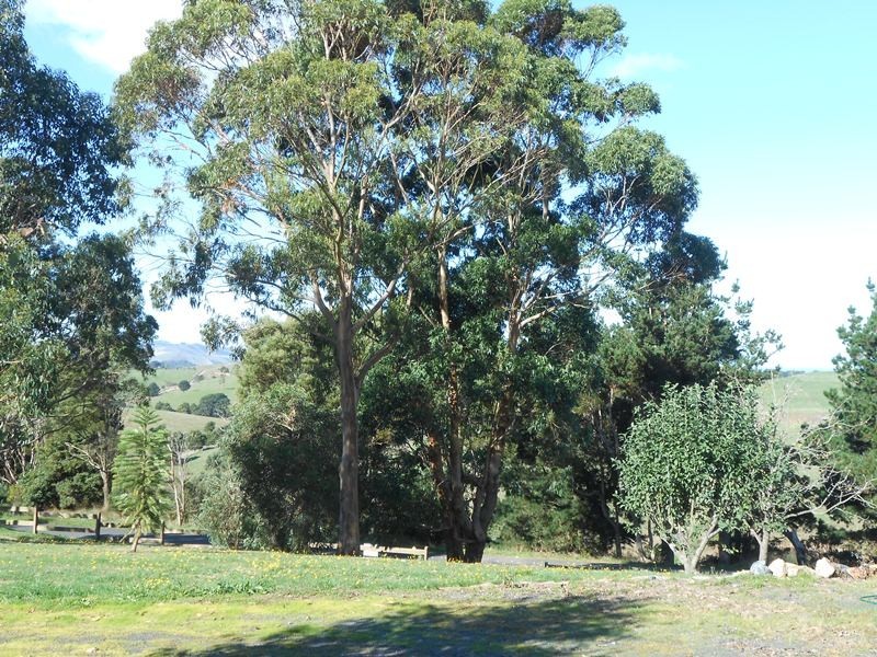 400 O’Gradys Ridge Rd, Foster VIC 3960