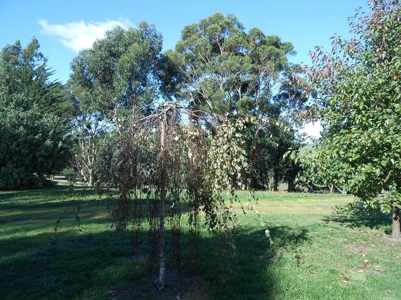 400 O’Gradys Ridge Rd, Foster VIC 3960