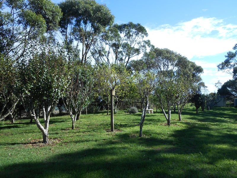 400 O’Gradys Ridge Rd, Foster VIC 3960