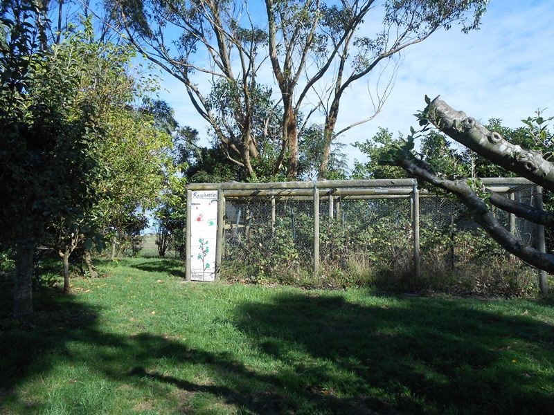 400 O’Gradys Ridge Rd, Foster VIC 3960