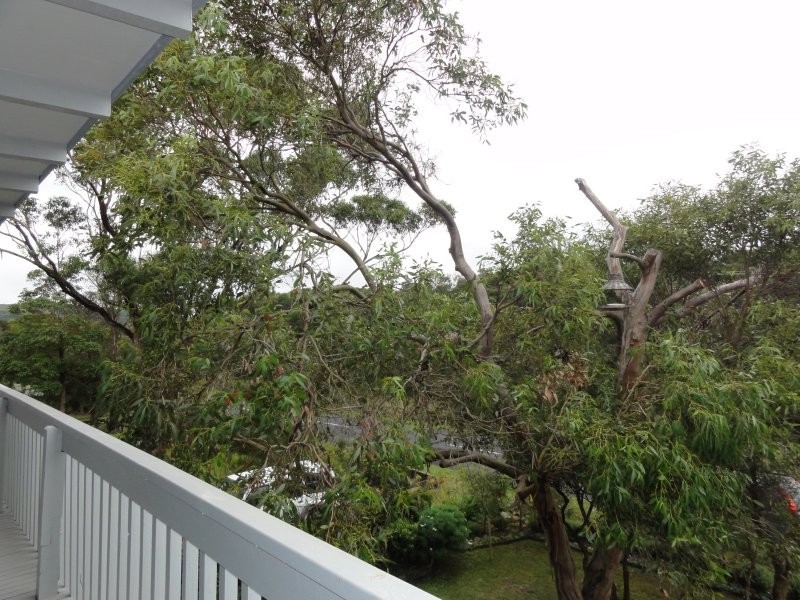 109 Acacia St, Walkerville VIC 3956