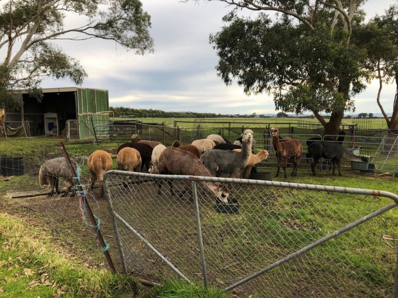 36 Lawsons Rd, Toora VIC 3962