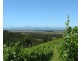 527 Foster Fish Creek Rd, Foster VIC 3960