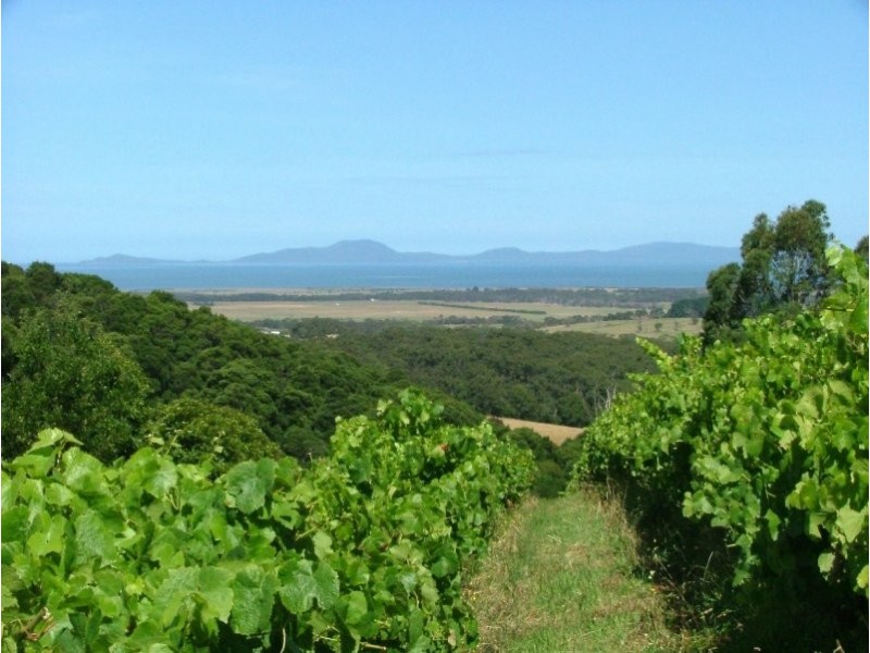 527 Foster Fish Creek Rd, Foster VIC 3960