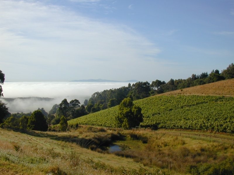 527 Foster Fish Creek Rd, Foster VIC 3960