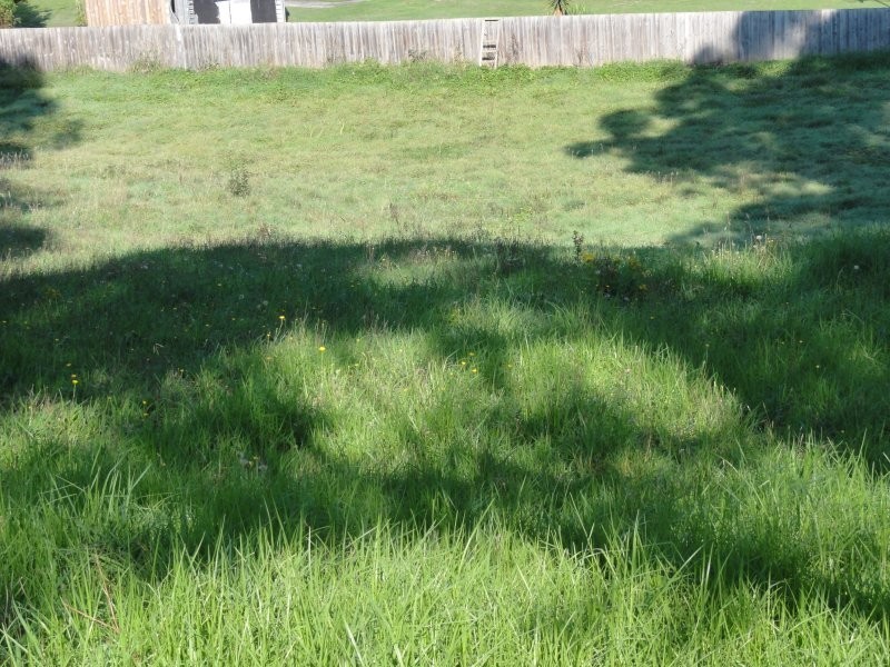 16 Wood Road, Foster VIC 3960