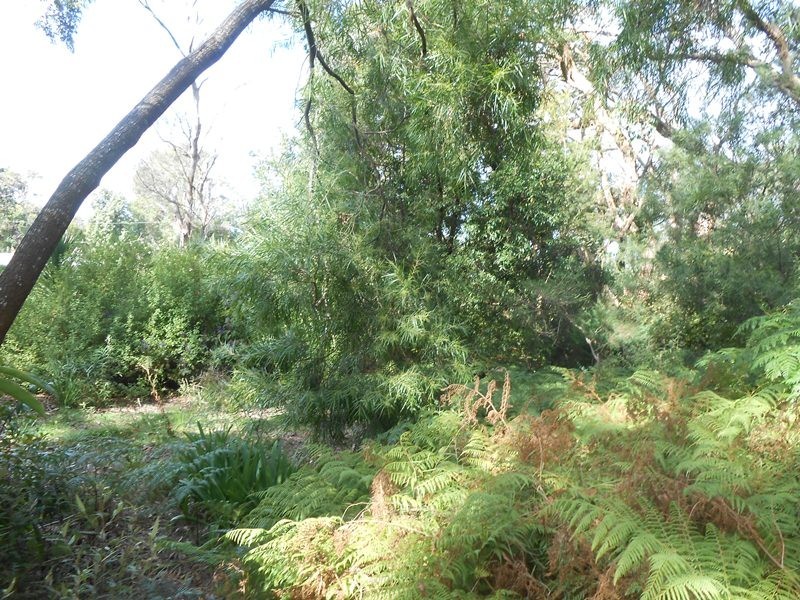 6 Caringal Street, Waratah Bay VIC 3959