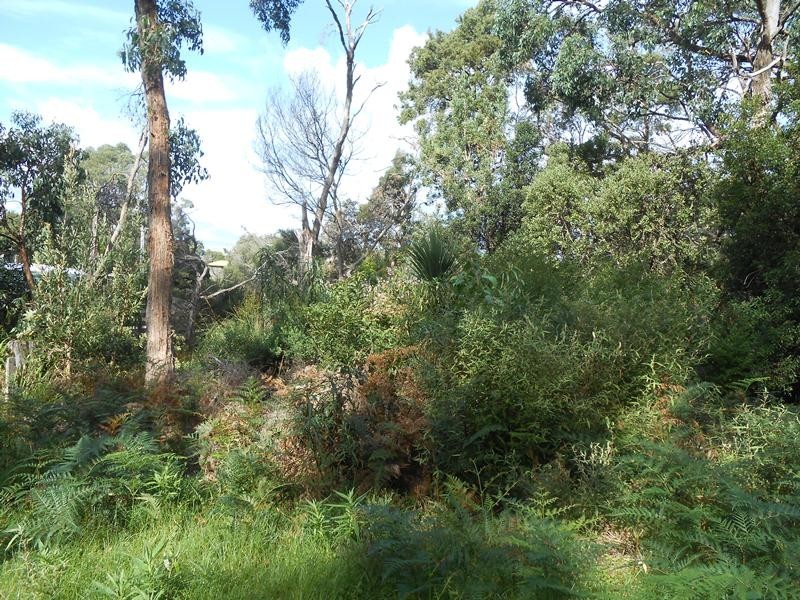 6 Caringal Street, Waratah Bay VIC 3959