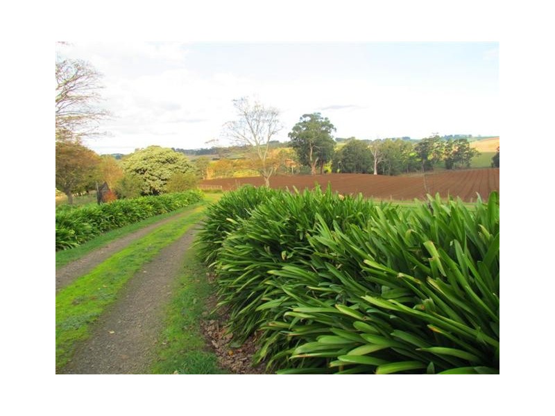 184 Saviges Road, Thorpdale VIC 3835