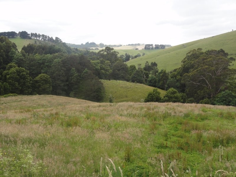580 Woomera Creek Rd, Toora VIC 3962