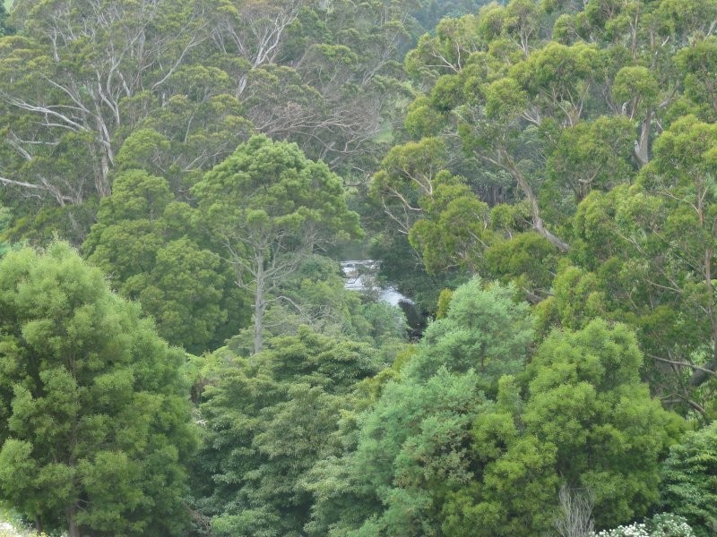 580 Woomera Creek Rd, Toora VIC 3962