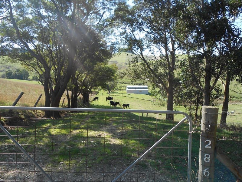 286 Lowrys Road, Fish Creek VIC 3959