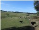 286 Lowrys Road, Fish Creek VIC 3959