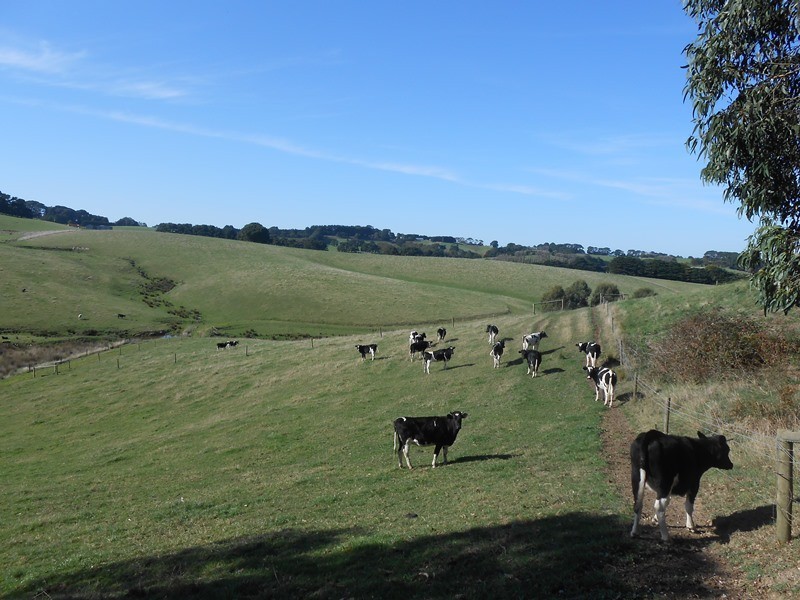 286 Lowrys Road, Fish Creek VIC 3959