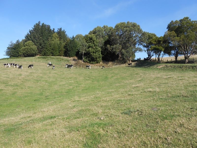 286 Lowrys Road, Fish Creek VIC 3959