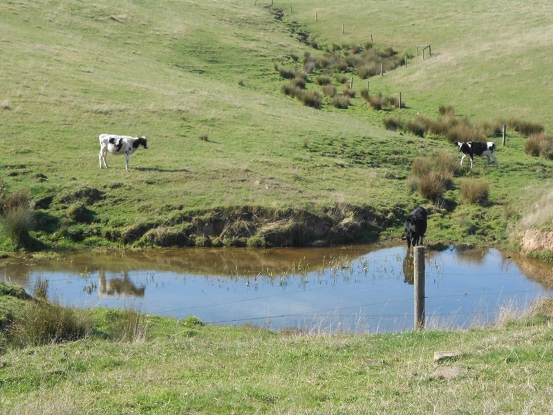 286 Lowrys Road, Fish Creek VIC 3959