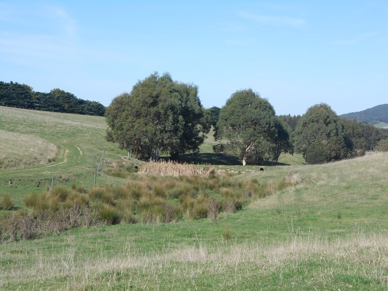 286 Lowrys Road, Fish Creek VIC 3959