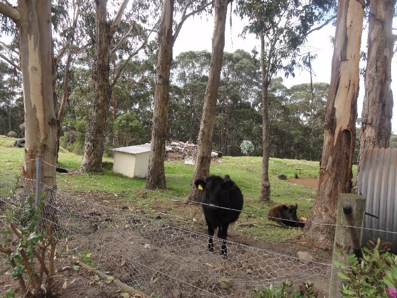 Binginwarri VIC 3966