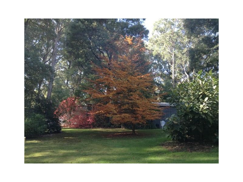 1071 Yarragon South Road, Trafalgar VIC 3824