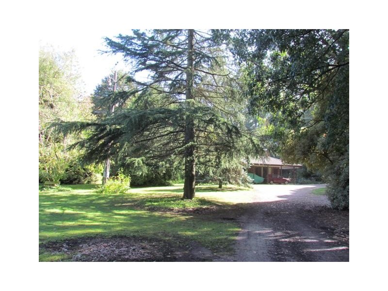 1071 Yarragon South Road, Trafalgar VIC 3824