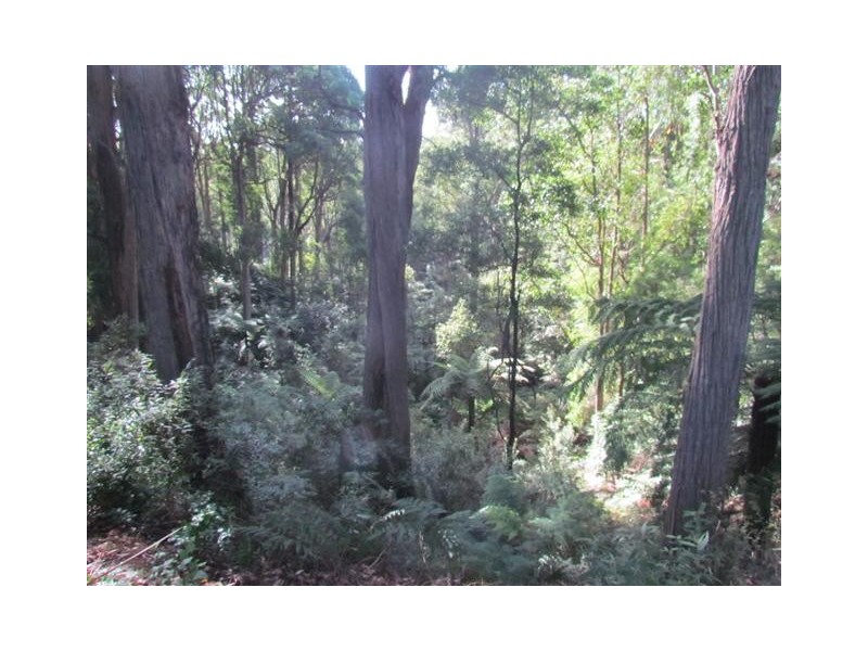 1071 Yarragon South Road, Trafalgar VIC 3824