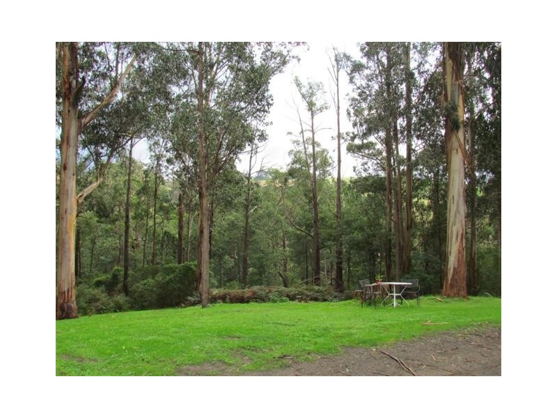 187 Allambee South Road, Thorpdale VIC 3835