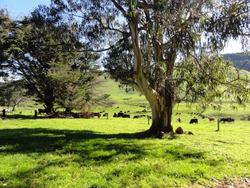 208 Bechers Rd, Welshpool VIC 3966